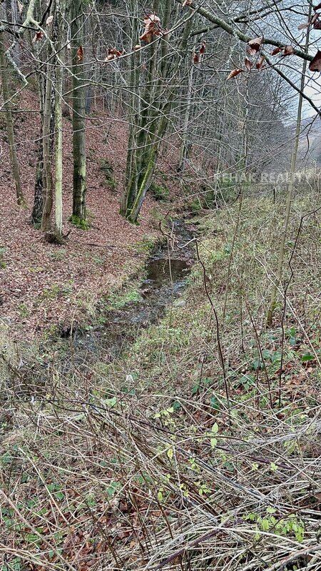 Nabízíme Vám k prodeji dům, bývalý mlýn, podl.plocha 163m2, Hynčina