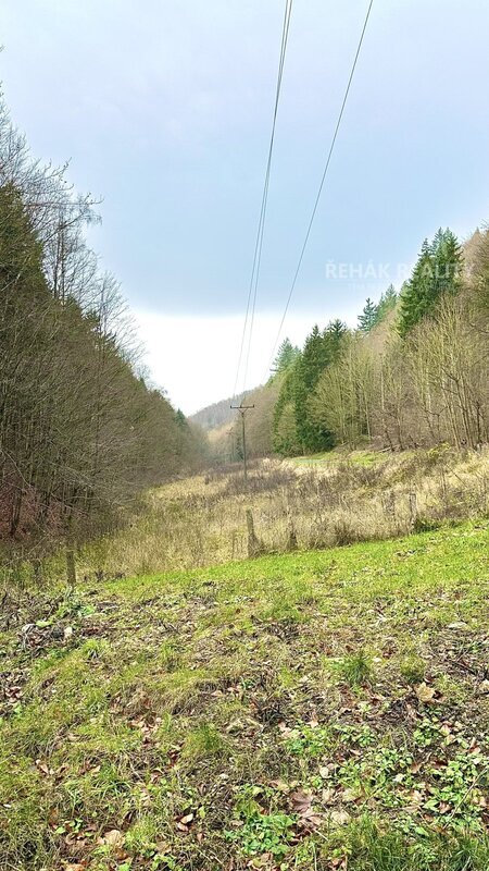 Nabízíme Vám k prodeji dům, bývalý mlýn, podl.plocha 163m2, Hynčina