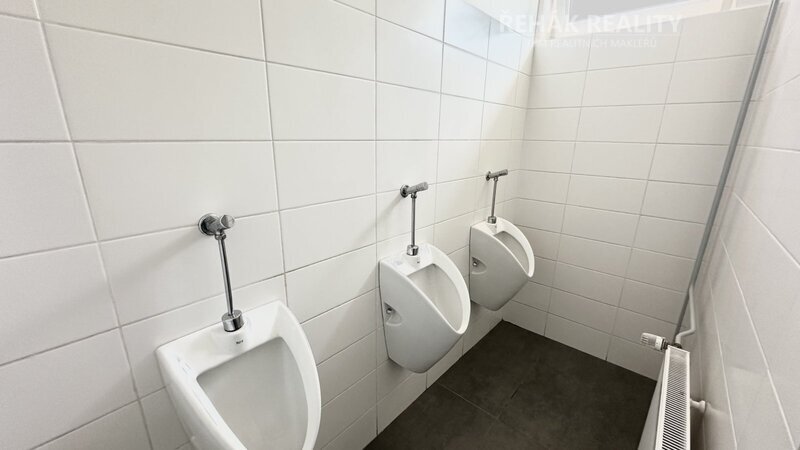 Pronájem skladového prostoru Černá za Bory, 2 299m2